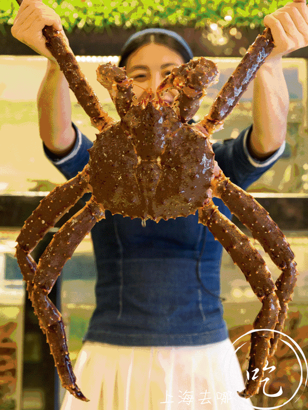 2017年上海口岸进口活海鲜高达8.1亿美元！(图6)