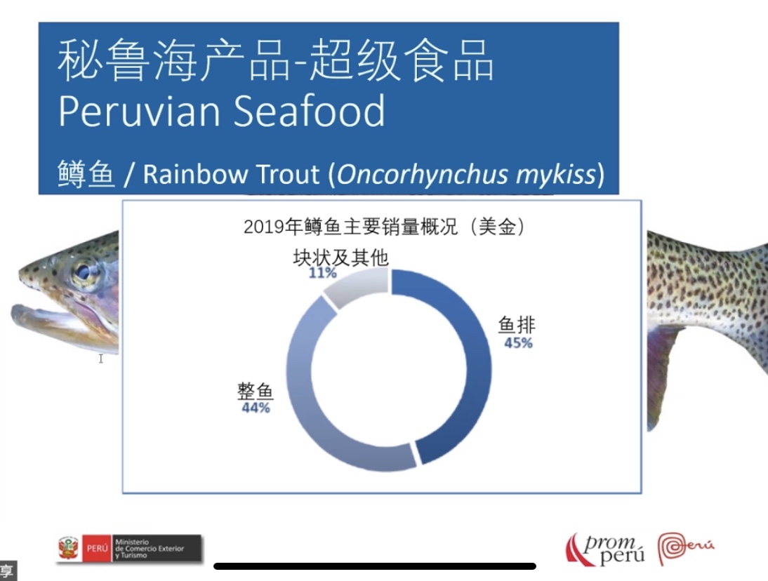 Recap for our first webinar:Seafood, Superfood Peru(图13) Recap for our first webinar:Seafood, Superfood Peru(图13)