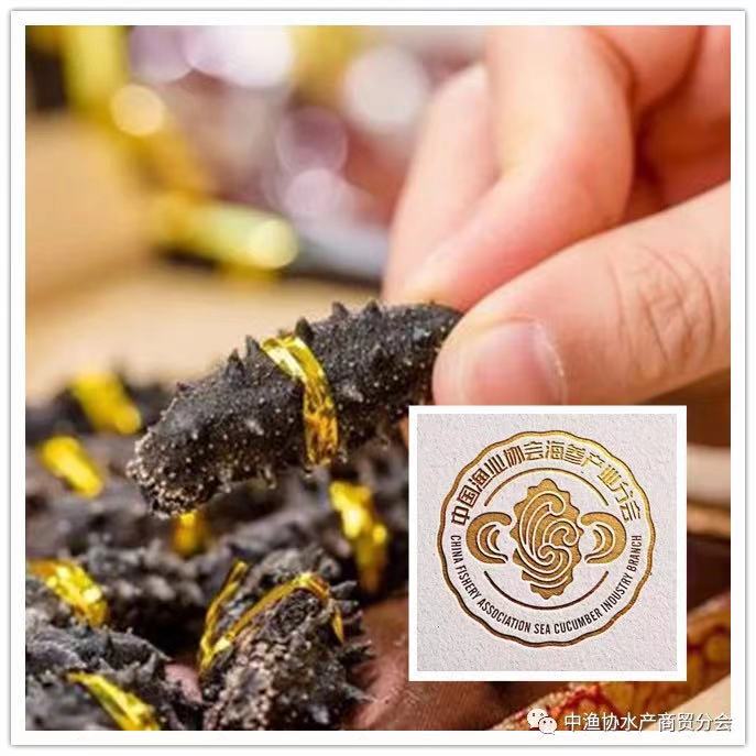 World Seafood Shanghai will grandly launch the China Good Seaf Cucumber and China Good Crab(图2) World Seafood Shanghai will grandly launch the China Good Seaf Cucumber and China Good Crab(图2)