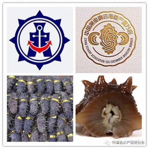 World Seafood Shanghai will grandly launch the China Good Seaf Cucumber and China Good Crab(图10) World Seafood Shanghai will grandly launch the China Good Seaf Cucumber and China Good Crab(图10)