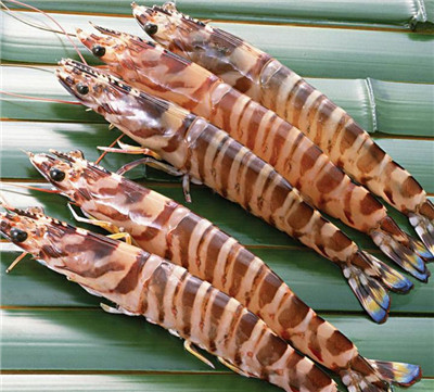 渔业数字化稳步推进,全球虾类市场电商交易需求大增(图5) 渔业数字化稳步推进,全球虾类市场电商交易需求大增(图5)