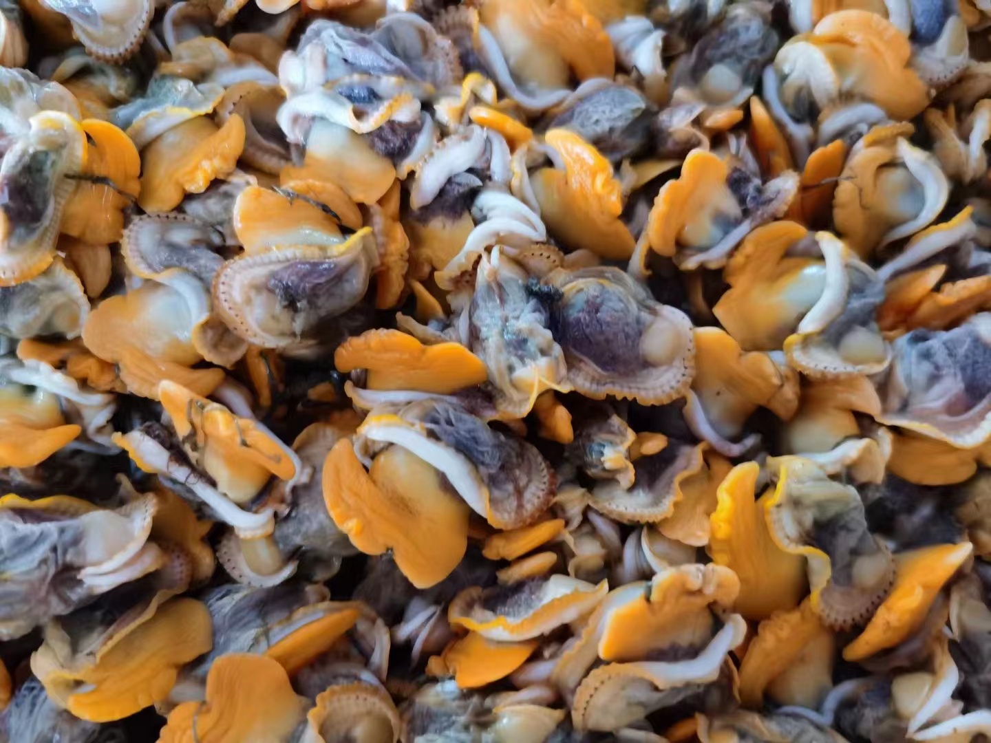 餐桌上的鲜味担当——盘点那些贝壳类产品供应商(图6) 餐桌上的鲜味担当——盘点那些贝壳类产品供应商(图6)