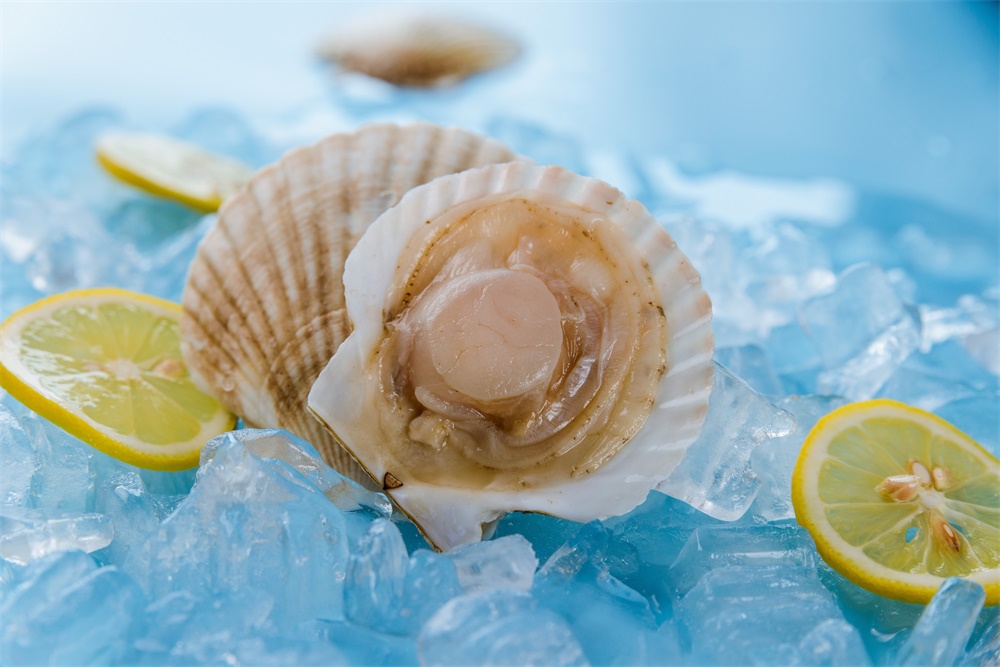 餐桌上的鲜味担当——盘点那些贝壳类产品供应商(图8) 餐桌上的鲜味担当——盘点那些贝壳类产品供应商(图8)