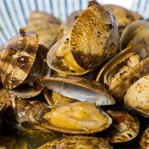 餐桌上的鲜味担当——盘点那些贝壳类产品供应商(图12) 餐桌上的鲜味担当——盘点那些贝壳类产品供应商(图12)