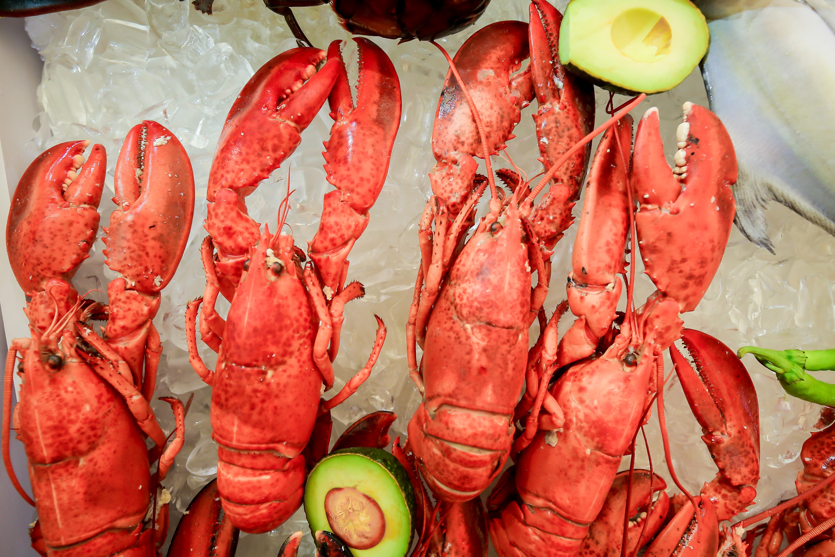 从“心”出发,闪耀启程||2023上海渔博会与您相聚上海,共创未来!(图6) 2-22121611151R47.jpg