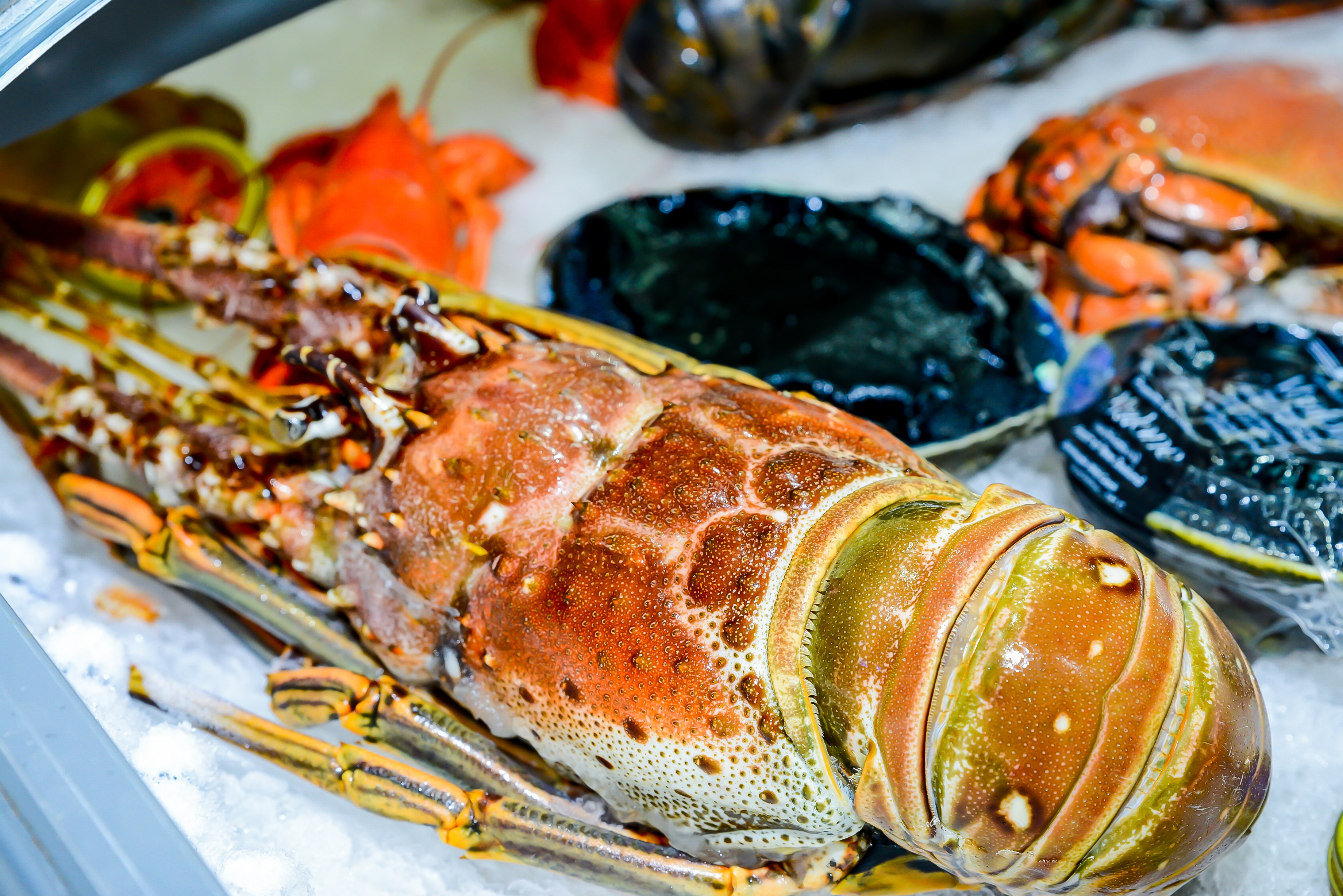 从“心”出发,闪耀启程||2023上海渔博会与您相聚上海,共创未来!(图8) 2-22121611161B56.jpg