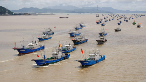 China’s Fisheries Policy Makes Belated Shift To Sustainability – Analysis(图1) China’s Fisheries Policy Makes Belated Shift To Sustainability – Analysis(图1)