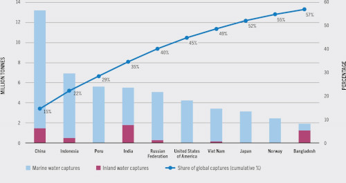 China’s Fisheries Policy Makes Belated Shift To Sustainability – Analysis(图2) China’s Fisheries Policy Makes Belated Shift To Sustainability – Analysis(图2)