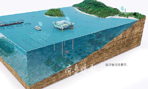 China’s Fisheries Policy Makes Belated Shift To Sustainability – Analysis(图3) China’s Fisheries Policy Makes Belated Shift To Sustainability – Analysis(图3)