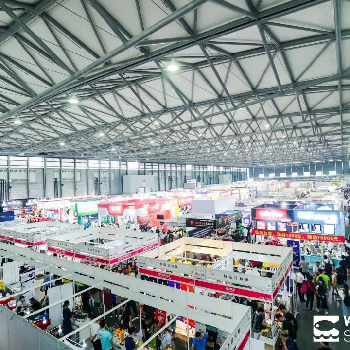 风好帆正悬,推介正当时——上海国际渔博会走进良之隆电商食材节(图11) 风好帆正悬,推介正当时——上海国际渔博会走进良之隆电商食材节(图11)