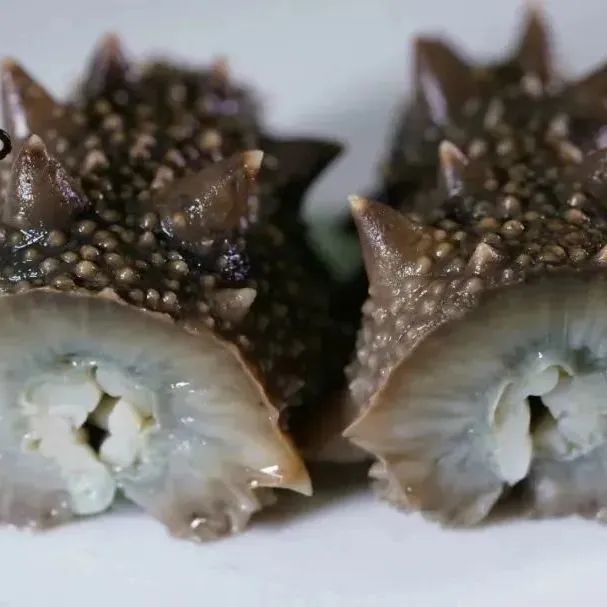 18馆联动,18万平米!上海渔博会规模升级,高端滋补馆人气火爆蓄势待发!(图28) 18馆联动,18万平米!上海渔博会规模升级,高端滋补馆人气火爆蓄势待发!(图28)