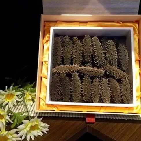 18馆联动,18万平米!上海渔博会规模升级,高端滋补馆人气火爆蓄势待发!(图39) 18馆联动,18万平米!上海渔博会规模升级,高端滋补馆人气火爆蓄势待发!(图39)