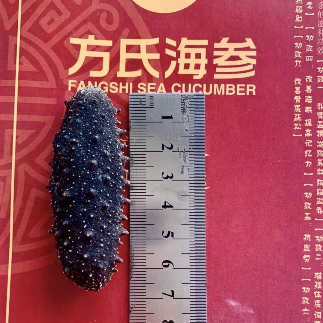 18馆联动,18万平米!上海渔博会规模升级,高端滋补馆人气火爆蓄势待发!(图42) 18馆联动,18万平米!上海渔博会规模升级,高端滋补馆人气火爆蓄势待发!(图42)