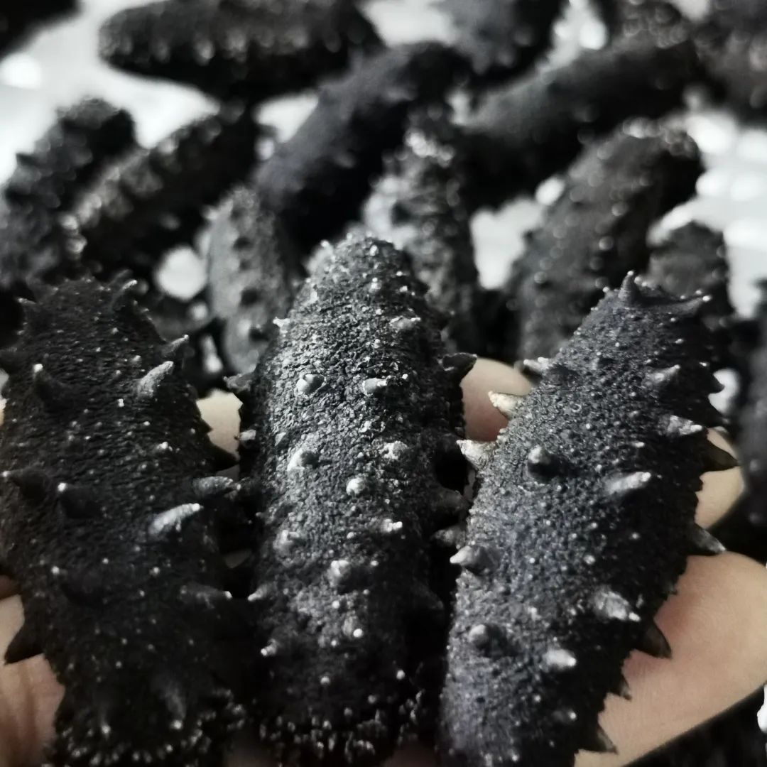 18馆联动,18万平米!上海渔博会规模升级,高端滋补馆人气火爆蓄势待发!(图84) 18馆联动,18万平米!上海渔博会规模升级,高端滋补馆人气火爆蓄势待发!(图84)