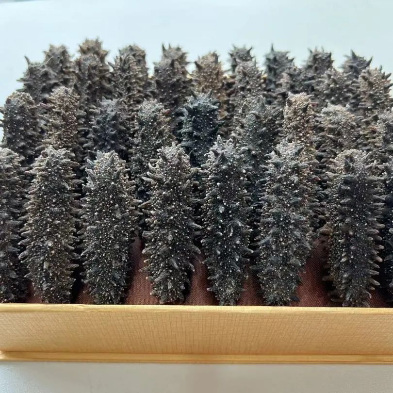 18馆联动,18万平米!上海渔博会规模升级,高端滋补馆人气火爆蓄势待发!(图88) 18馆联动,18万平米!上海渔博会规模升级,高端滋补馆人气火爆蓄势待发!(图88)