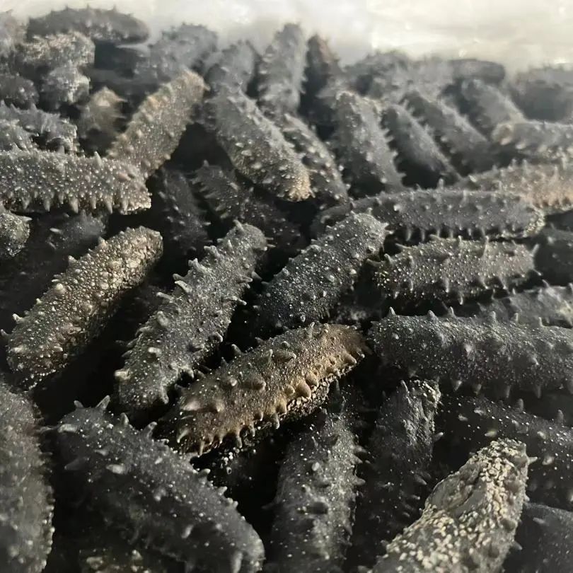 18馆联动,18万平米!上海渔博会规模升级,高端滋补馆人气火爆蓄势待发!(图89) 18馆联动,18万平米!上海渔博会规模升级,高端滋补馆人气火爆蓄势待发!(图89)