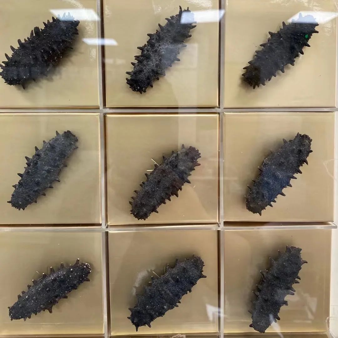 18馆联动,18万平米!上海渔博会规模升级,高端滋补馆人气火爆蓄势待发!(图90) 18馆联动,18万平米!上海渔博会规模升级,高端滋补馆人气火爆蓄势待发!(图90)