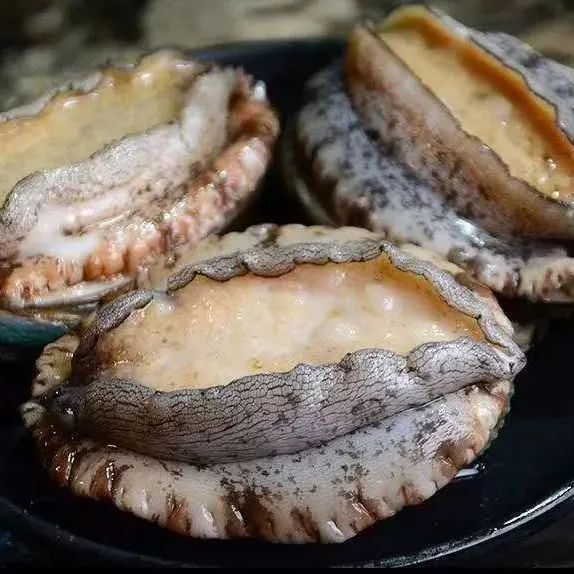 18馆联动,18万平米!上海渔博会规模升级,高端滋补馆人气火爆蓄势待发!(图101) 18馆联动,18万平米!上海渔博会规模升级,高端滋补馆人气火爆蓄势待发!(图101)