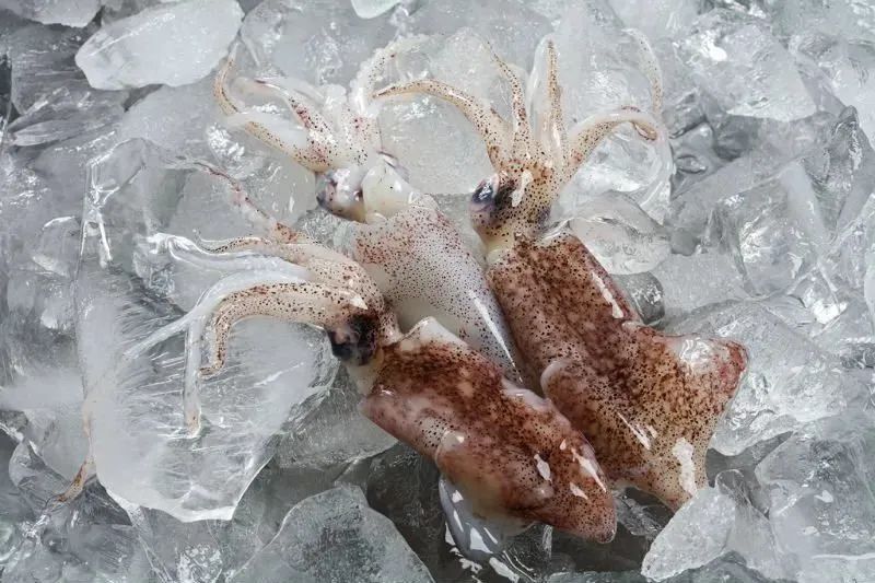 中国市场常见鱿鱼大盘点(图9) 中国市场常见鱿鱼大盘点(图9)