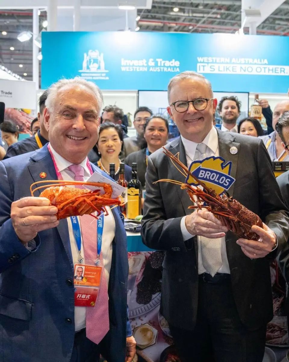 中澳解除了两国间“最后一道贸易障碍”,美味鲜活澳龙上桌中国年夜饭(图2) 640.jpg