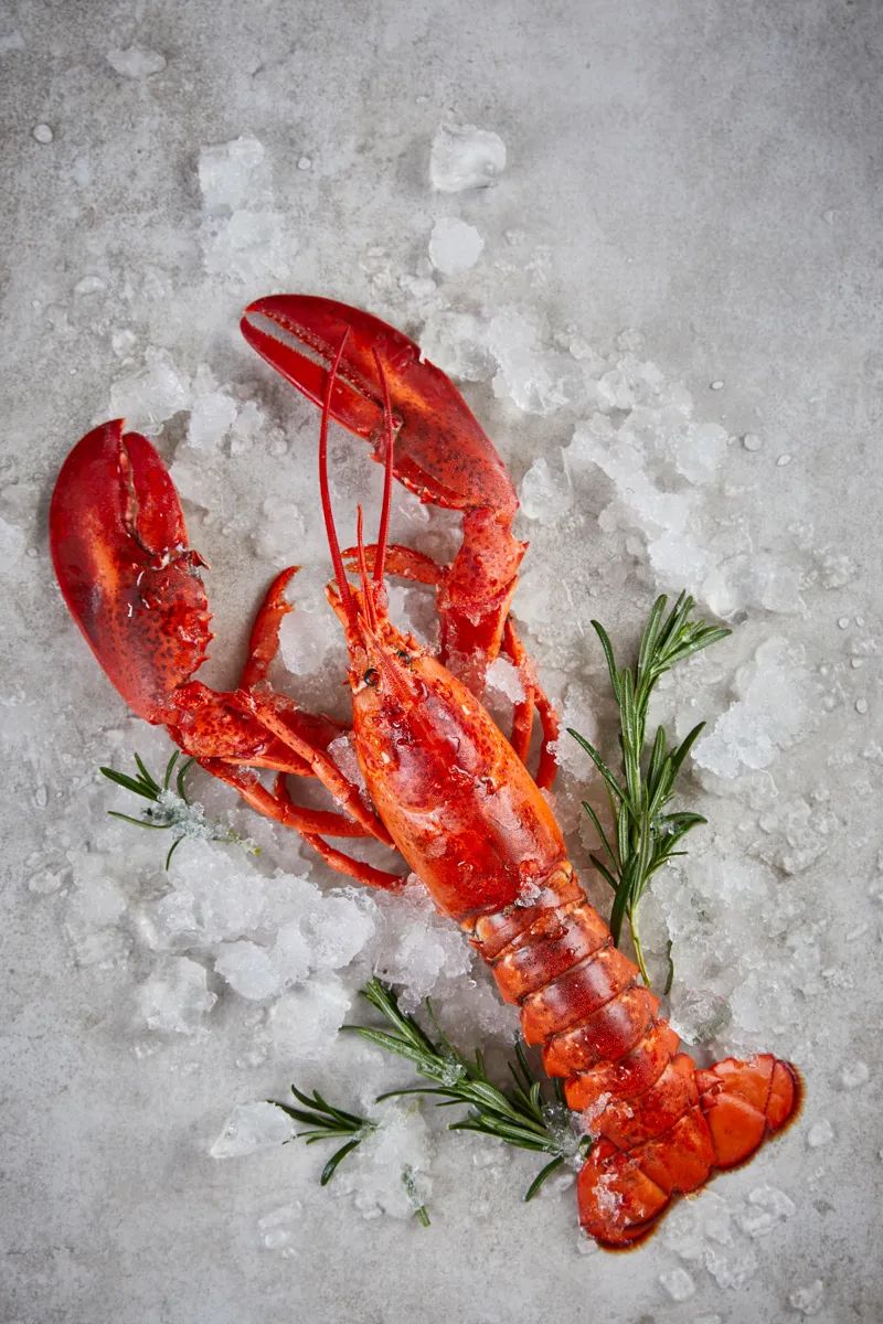 【优质展商】上海渔阳食品有限公司——进口优质冷冻龙虾(图2) 640 (11).jpg