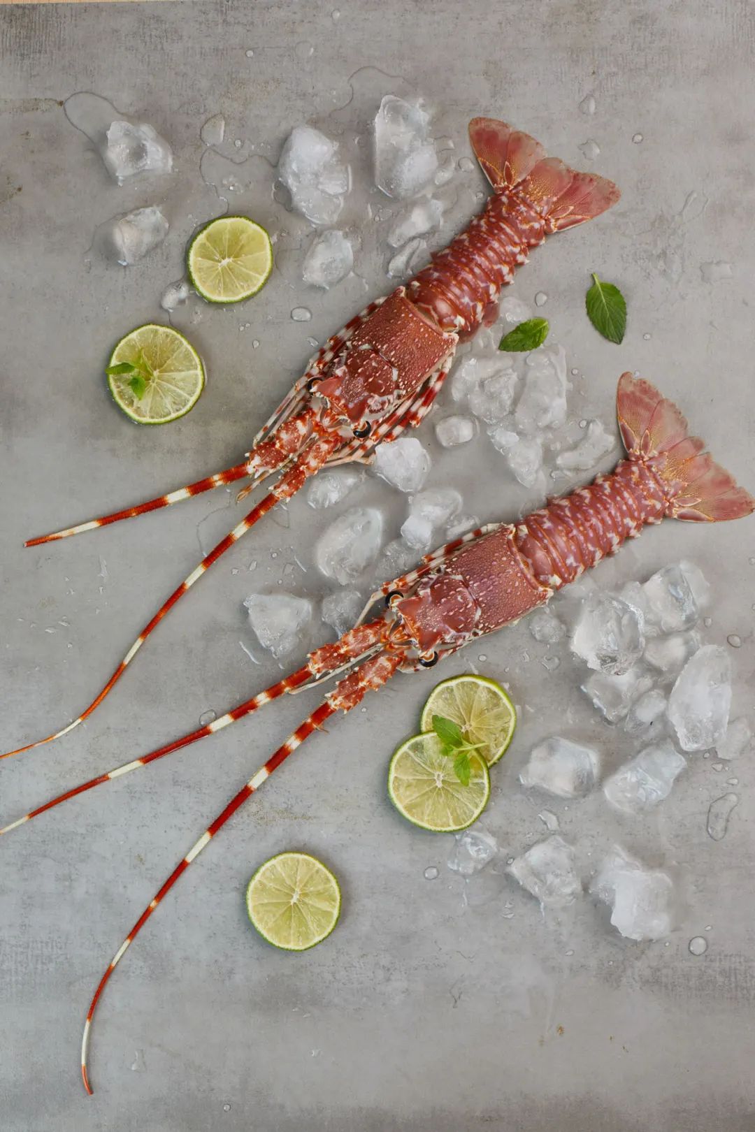 【优质展商】上海渔阳食品有限公司——进口优质冷冻龙虾(图4) 640 (9).jpg