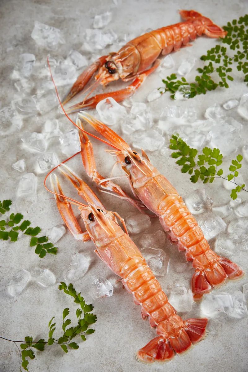 【优质展商】上海渔阳食品有限公司——进口优质冷冻龙虾(图5) 640 (8).jpg