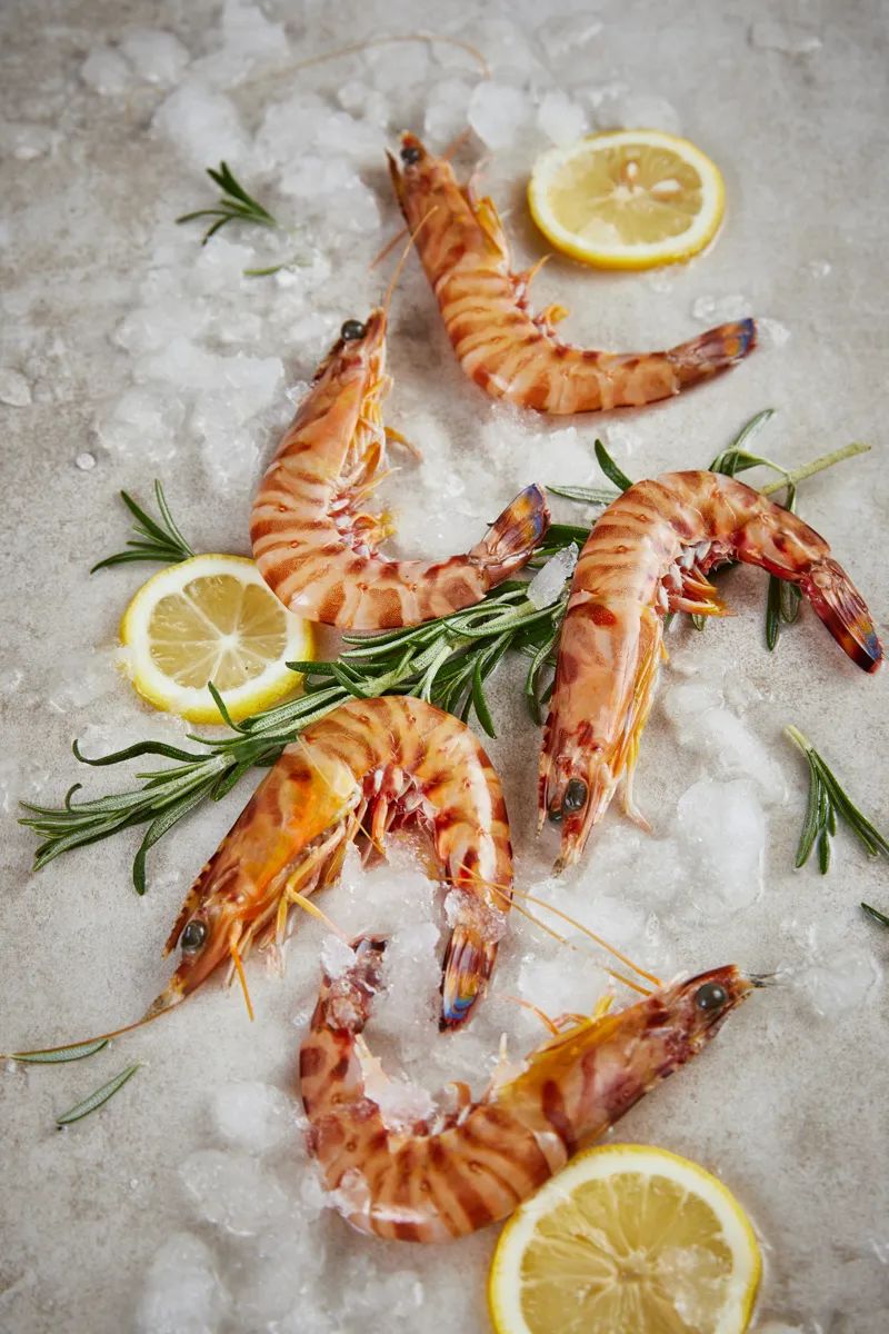 【优质展商】上海渔阳食品有限公司——进口优质冷冻龙虾(图6) 640 (7).jpg