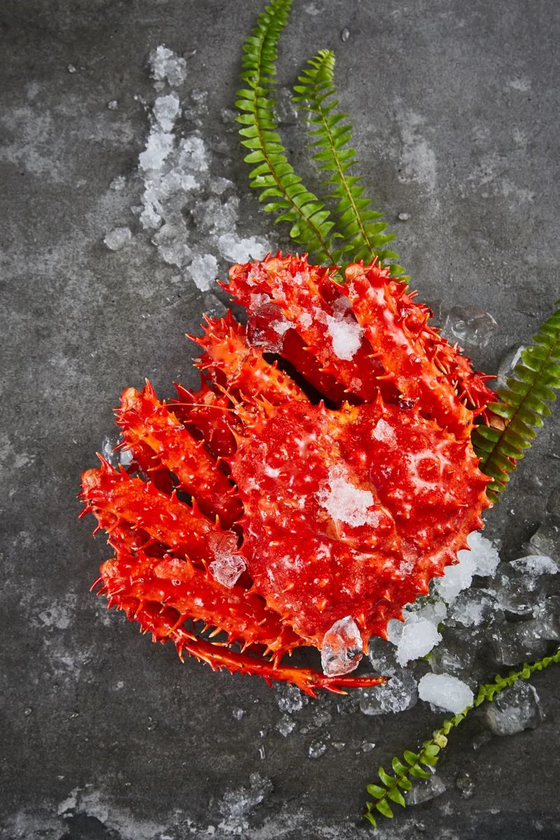 【优质展商】上海渔阳食品有限公司——进口优质冷冻龙虾(图7) 640 (6).jpg