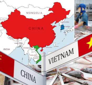 Vietnam asks China to expand the list of agricultural and aquatic products for export(图1) Vietnam asks China to expand the list of agricultural and aquatic products for export(图1)