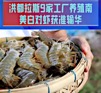 China approves imports of Honduran products(图1)