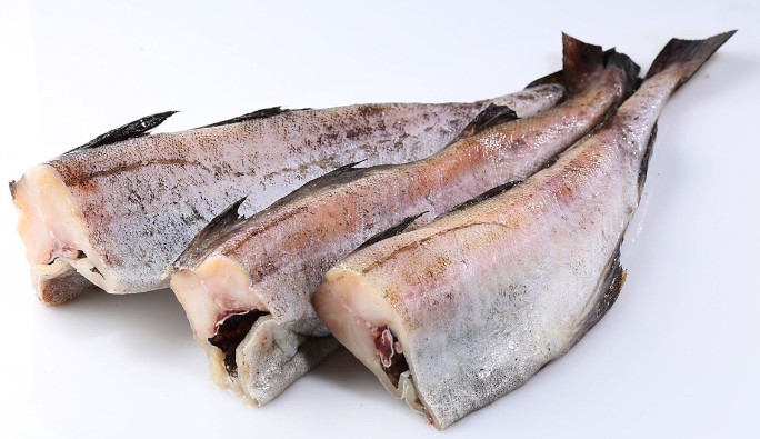 The turnover of fish products between Russia and China increased by 80% in the 1st quarter of 2023(图1) The turnover of fish products between Russia and China increased by 80% in the 1st quarter of 2023(图1)