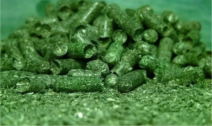 The turnover of fish products between Russia and China increased by 80% in the 1st quarter of 2023(图3) The turnover of fish products between Russia and China increased by 80% in the 1st quarter of 2023(图3)