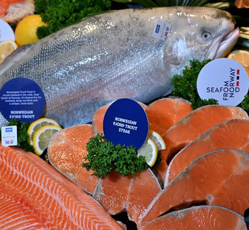 Norwegian salmon situation for the first half of the year(图2) Norwegian salmon situation for the first half of the year(图2)