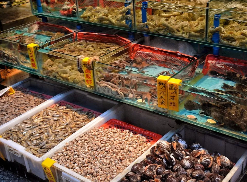 中国进口水产呈爆炸式增长(图2) 中国进口水产呈爆炸式增长(图2)