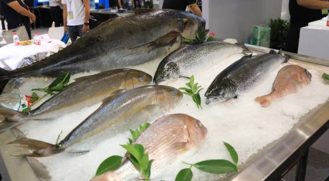 中国进口水产呈爆炸式增长(图3) 中国进口水产呈爆炸式增长(图3)