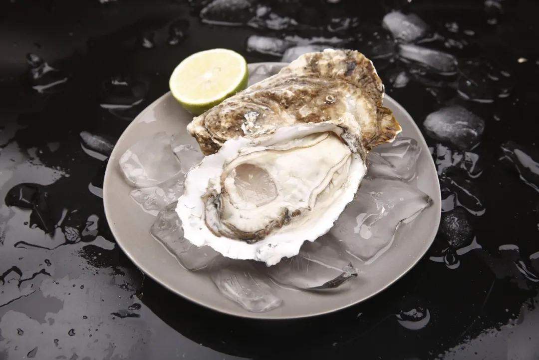 大连石城岛生蚝小镇实业有限公司——中国蚝 大连的好(图3)