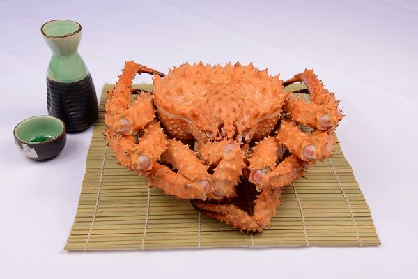 庞仕水产——匠心于渔，用心于您(图10)