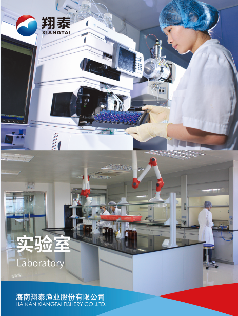 海南翔泰渔业股份有限公司——打造世界绿色健康水产(图4) 海南翔泰渔业股份有限公司——打造世界绿色健康水产(图4)