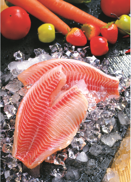 海南翔泰渔业股份有限公司——打造世界绿色健康水产(图9) 海南翔泰渔业股份有限公司——打造世界绿色健康水产(图9)