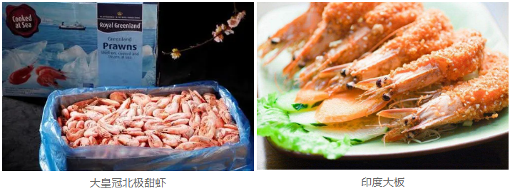 沈阳亲兄弟贸易有限公司——现代化综合性水产企业(图5)