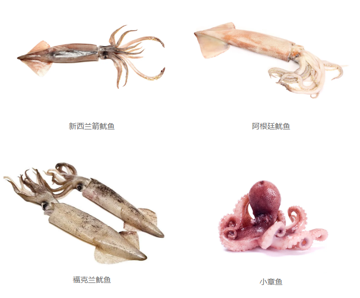 深圳市海博食品营销有限公司——专业可靠的全球采购和进口服务商(图9)