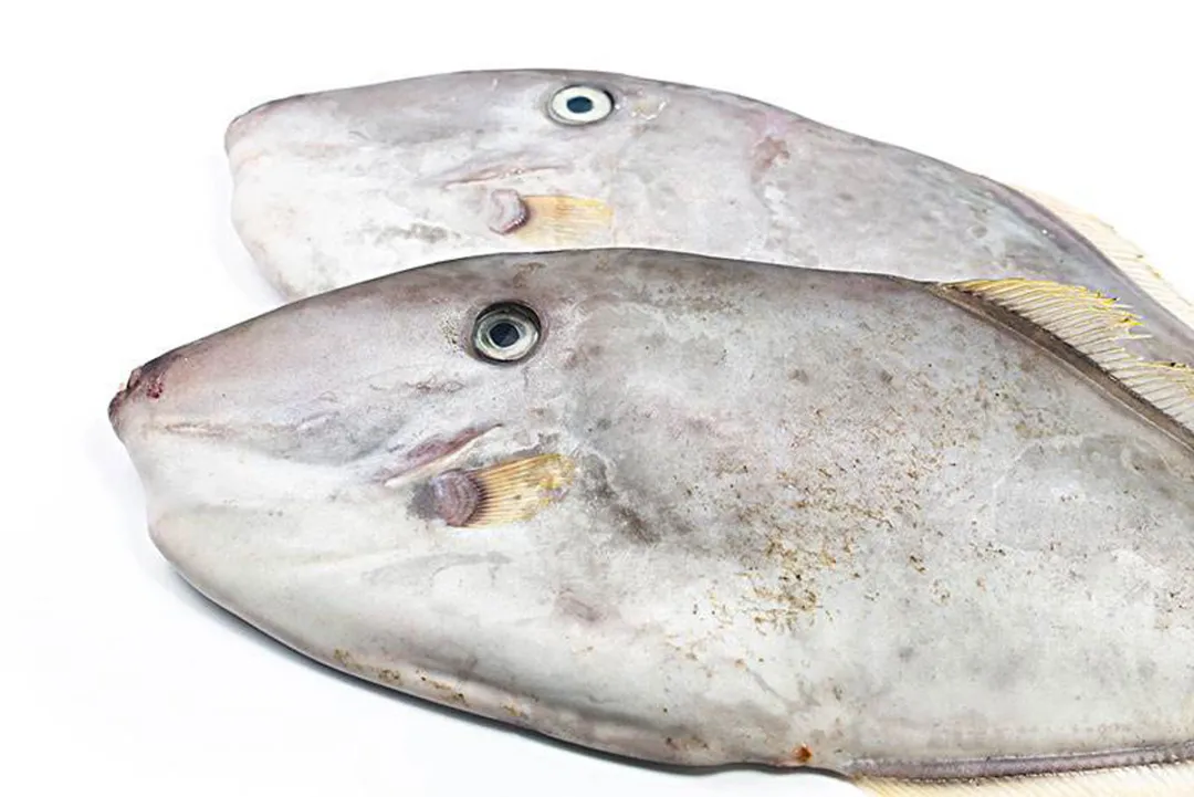 深圳市海博食品营销有限公司——专业可靠的全球采购和进口服务商(图12)