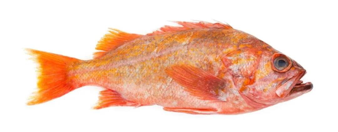 深圳市海博食品营销有限公司——专业可靠的全球采购和进口服务商(图13)