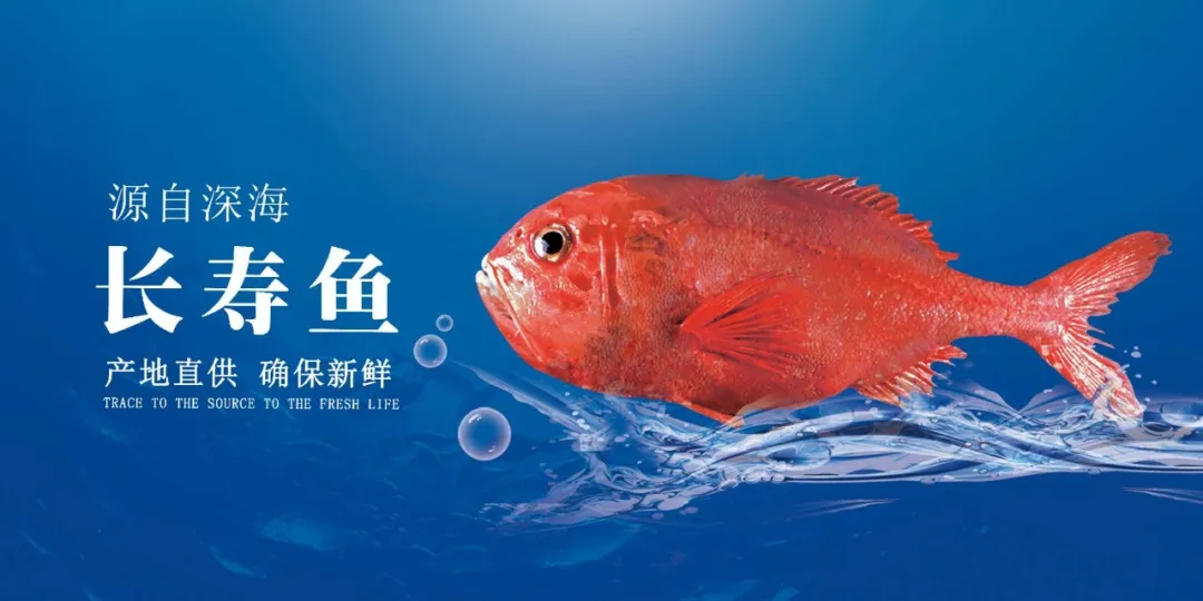 青岛佳之杰水产品有限公司——专业进出口、多元化企业(图3)