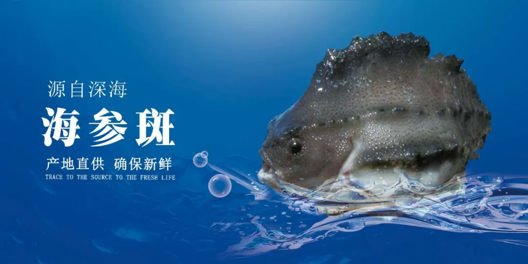 青岛佳之杰水产品有限公司——专业进出口、多元化企业(图5)