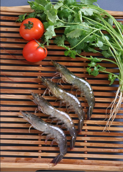 渤海水产（青岛）有限公司——提供可溯源的生鲜产品(图9)