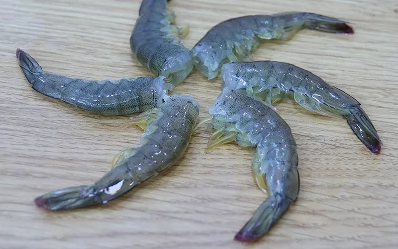 汕头万海贸易有限公司——注重品质，敢为人先；科技创新，引领未来！(图9)