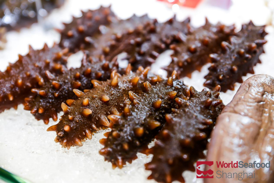 World Seafood Shanghai 2020 has come to a successful conclusion(图7) World Seafood Shanghai 2020 has come to a successful conclusion(图7)
