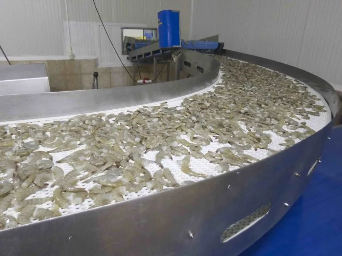 行业 | 全球对虾贸易大观(图7) 行业 | 全球对虾贸易大观(图7)